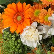 Florist Choice Posy Bowl Arrangement