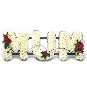 White Chrysanthemum Letters