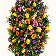 Vibrant Coffin Spray 